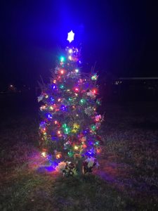 Picture of Christmas Tree Lighting